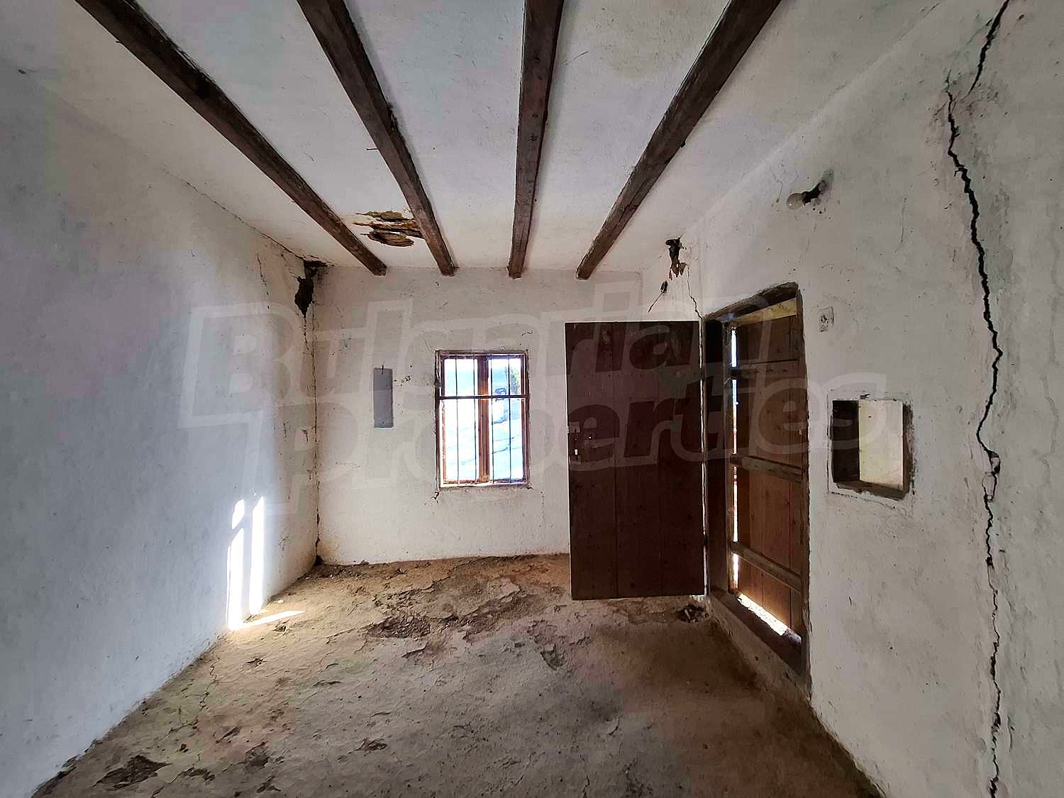 Gallery Picture 14