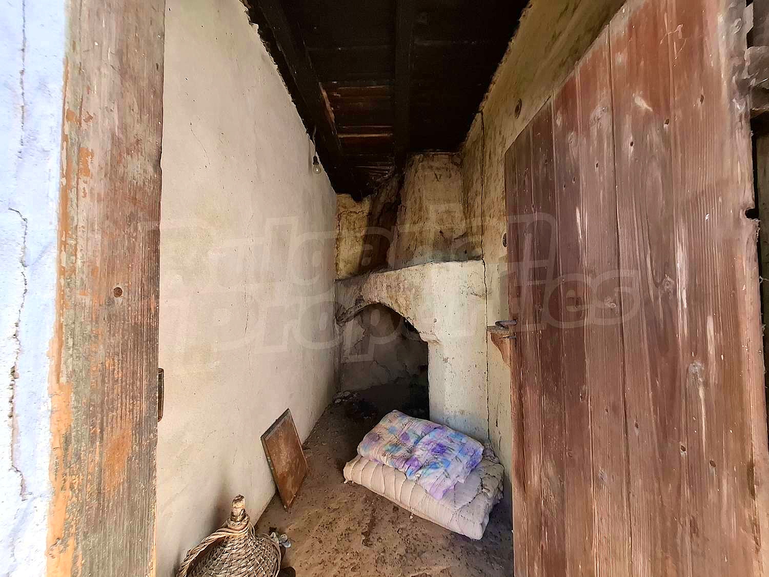 Gallery Picture 12