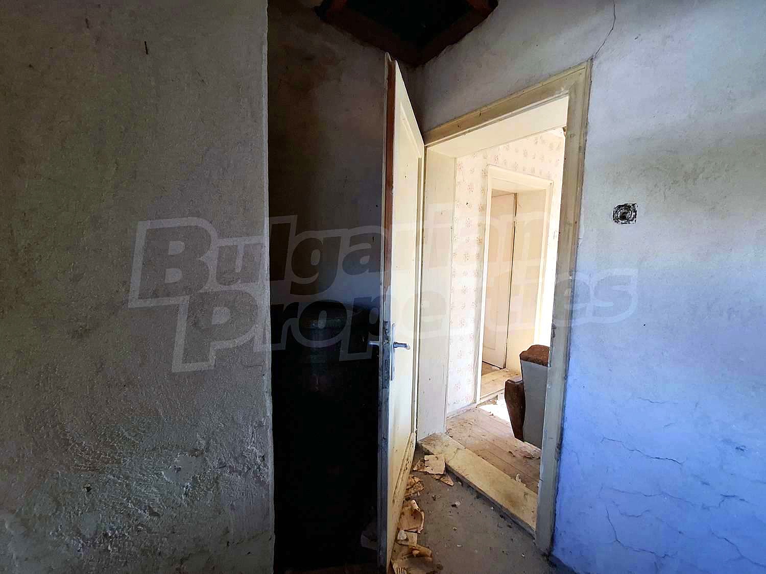 Gallery Picture 11