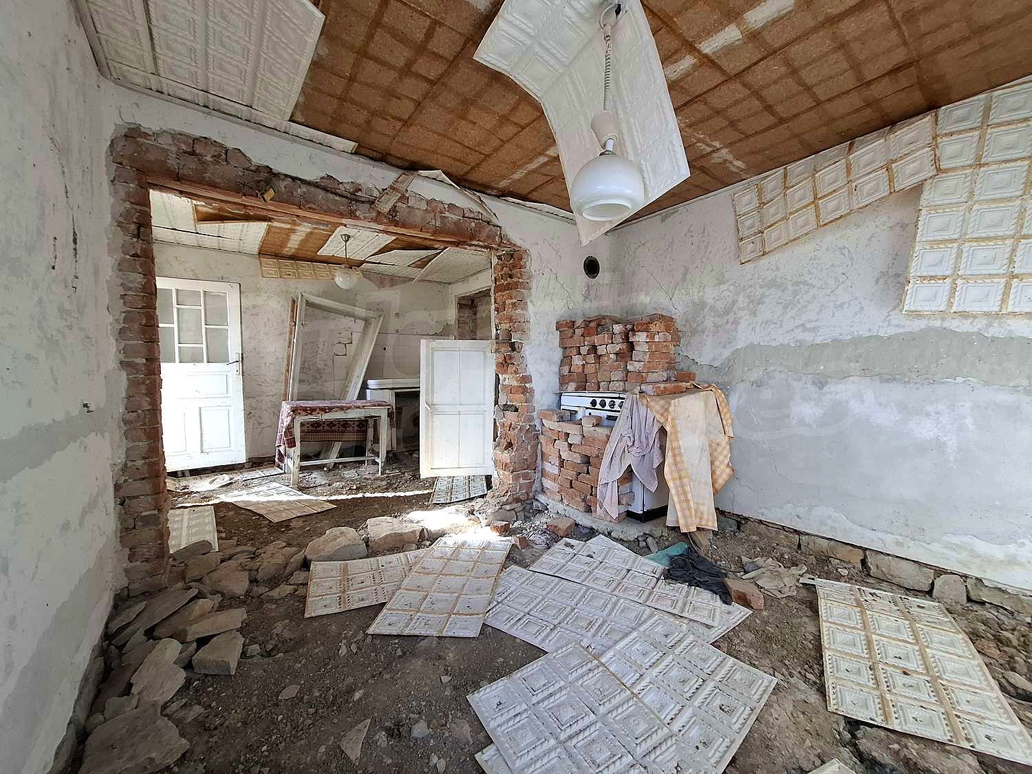 Gallery Picture 17