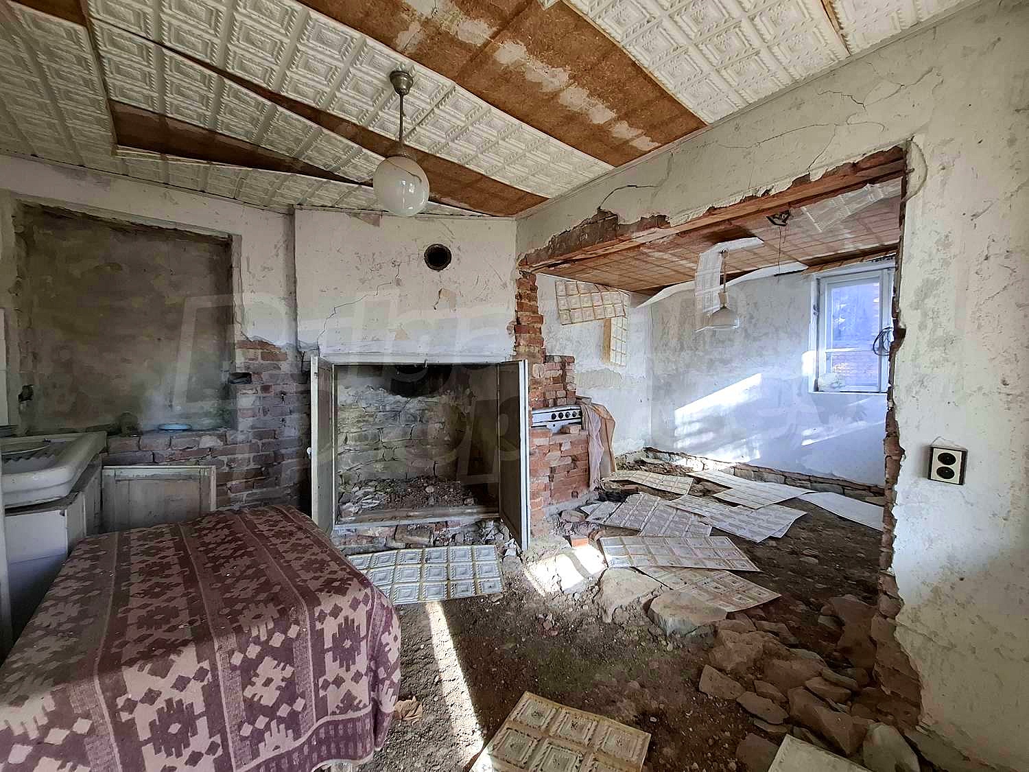Gallery Picture 16