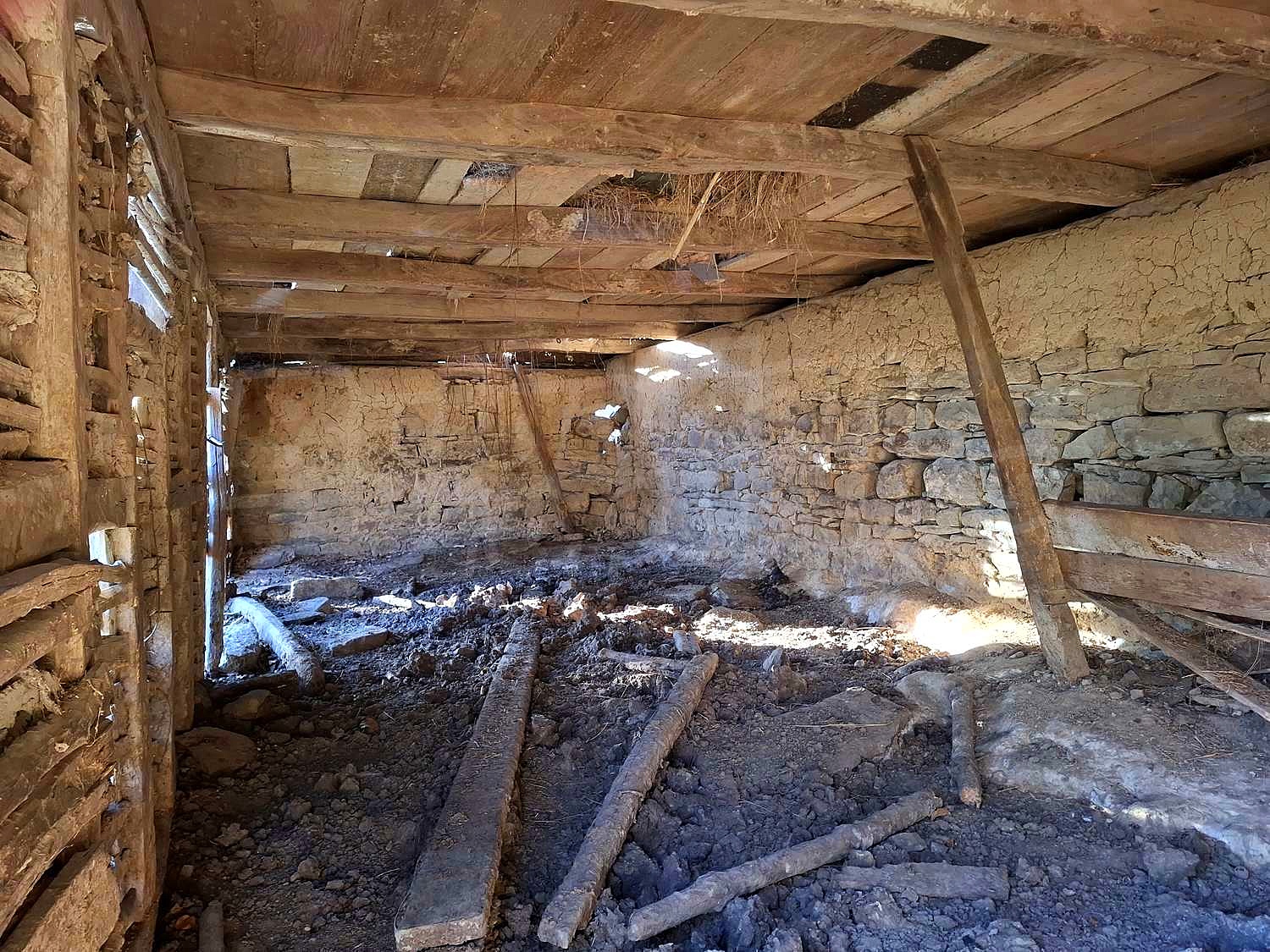 Gallery Picture 15