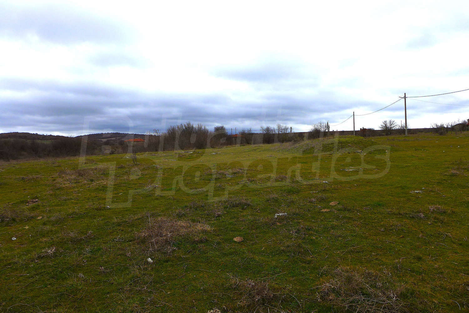Gallery Picture 19