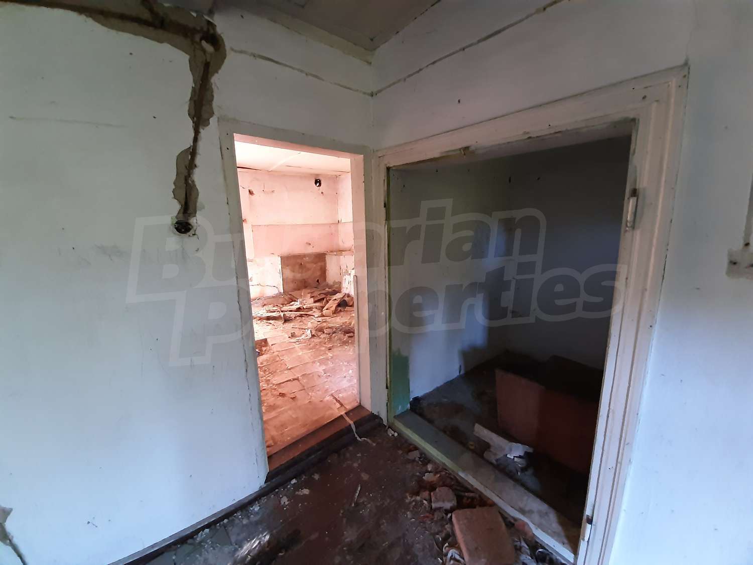 Gallery Picture 12