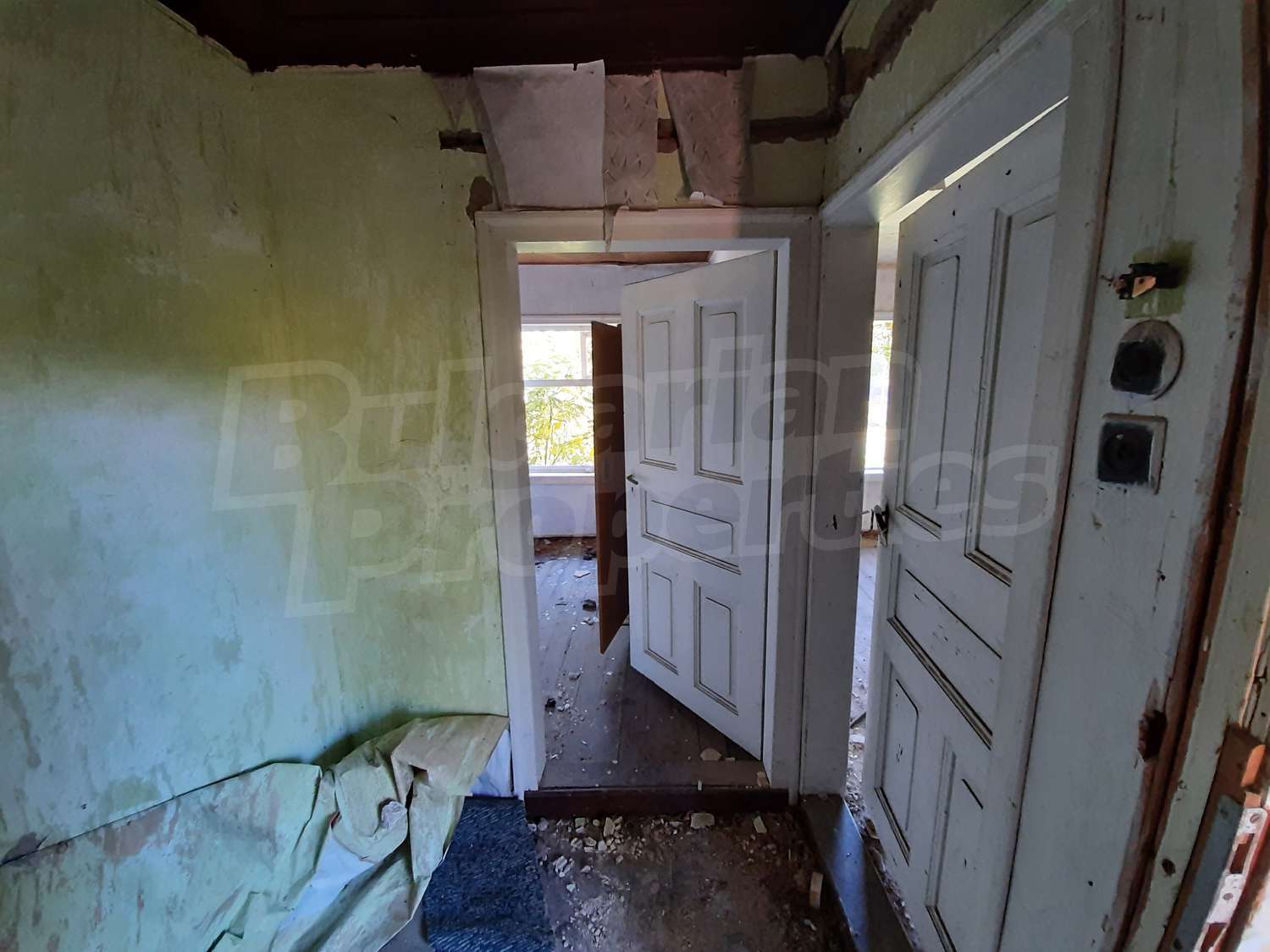 Gallery Picture 13