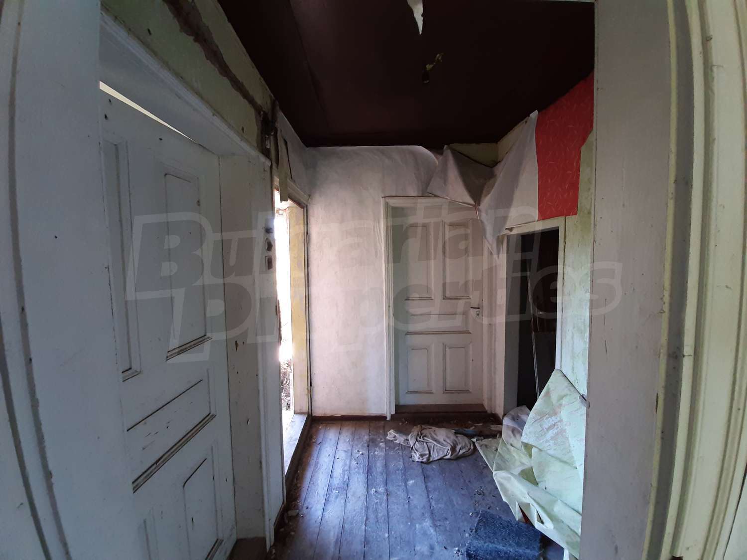 Gallery Picture 15