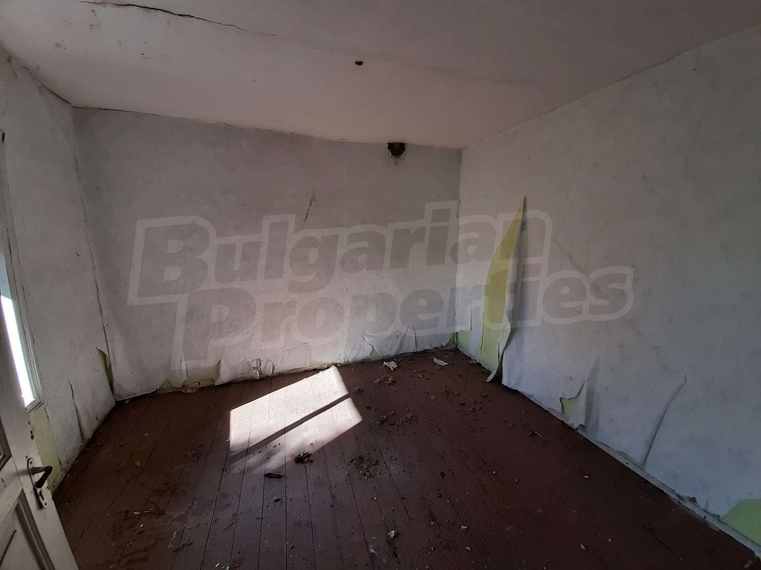 Gallery Picture 7