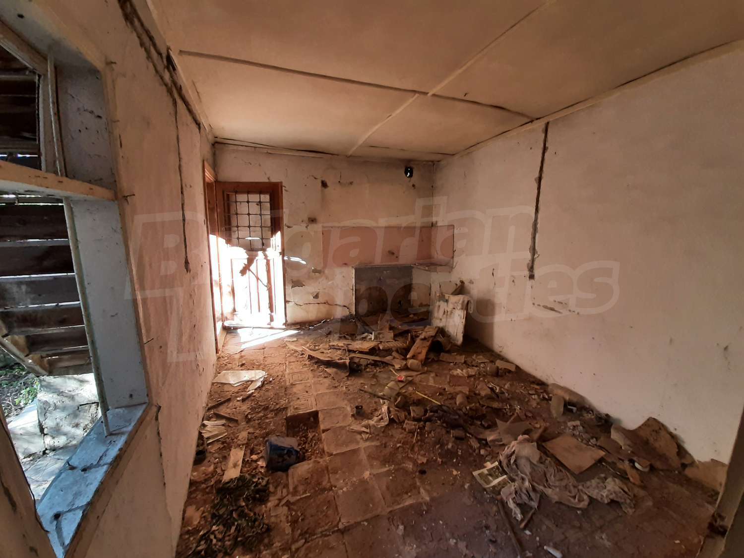 Gallery Picture 10