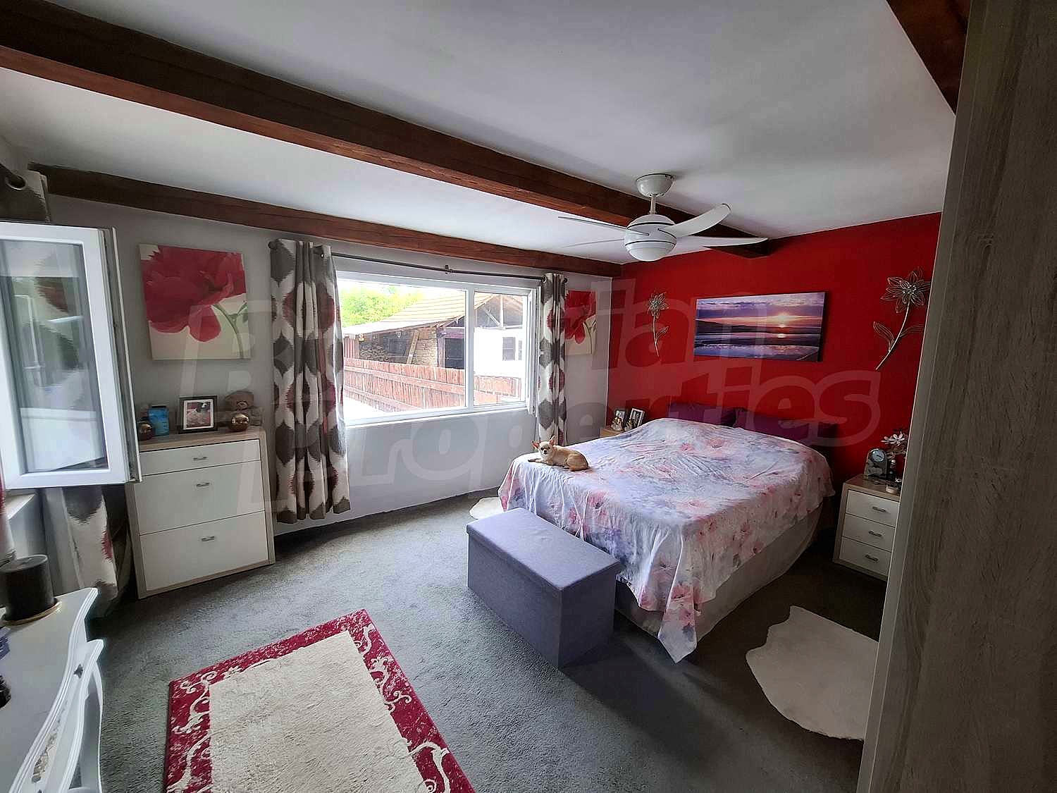Gallery Picture 5