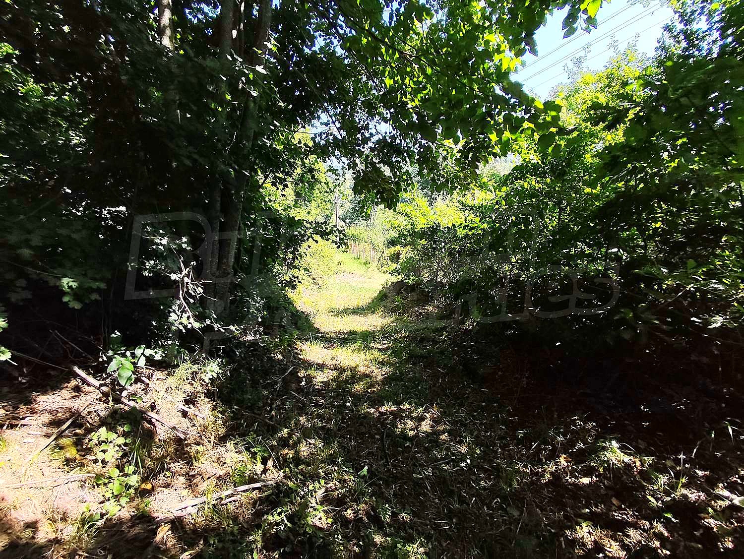 Gallery Picture 11