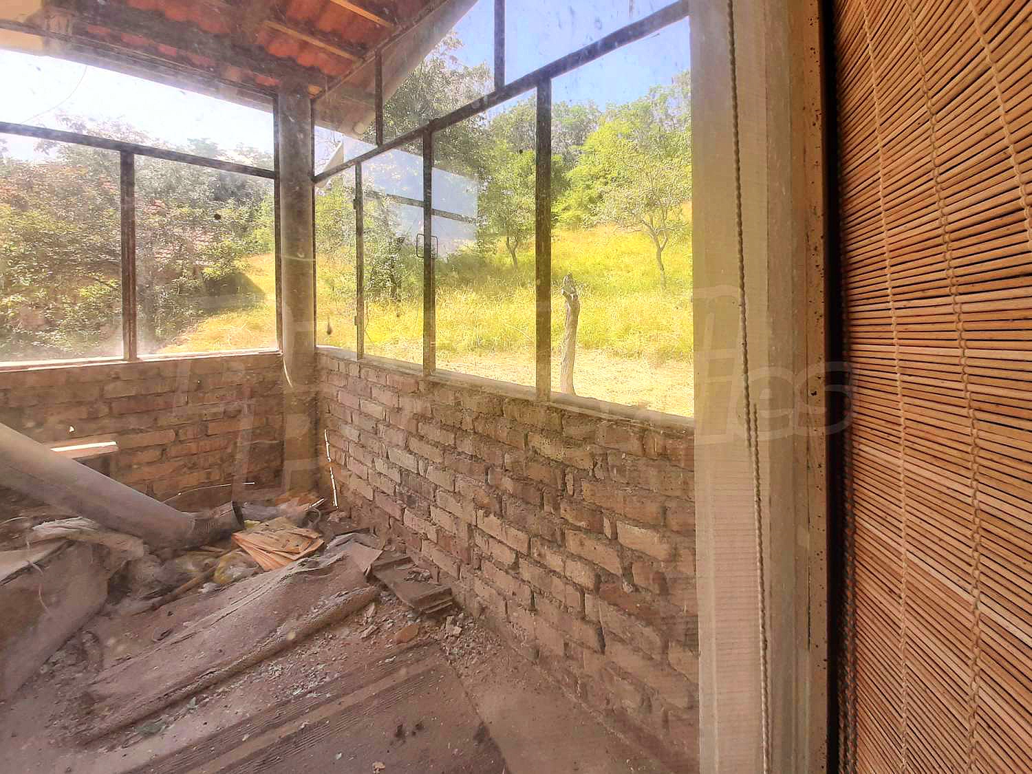 Gallery Picture 23