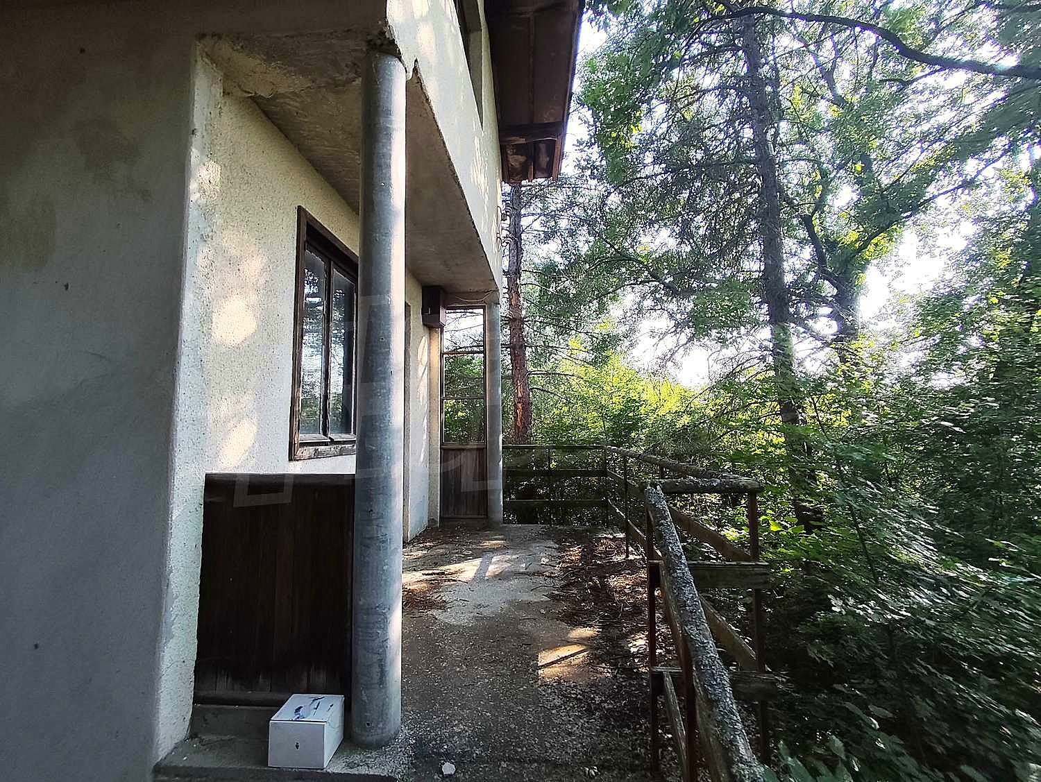 Gallery Picture 10