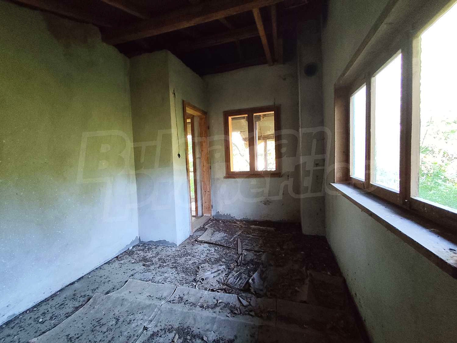 Gallery Picture 19