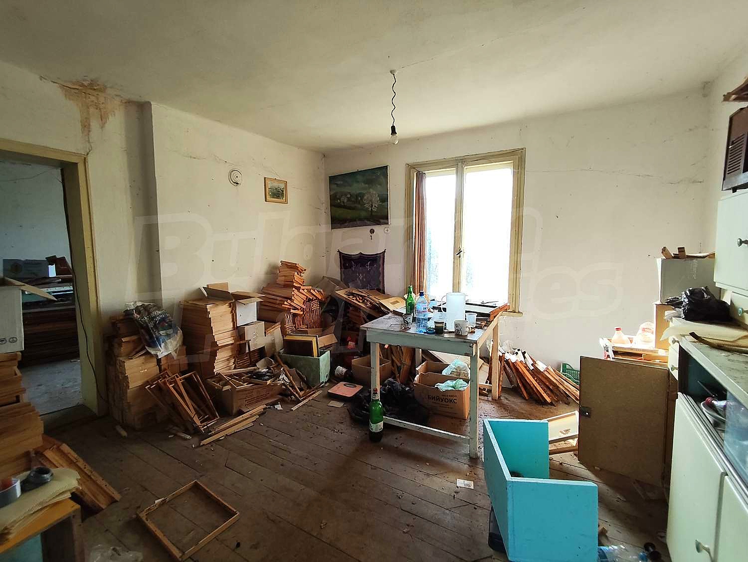 Gallery Picture 10
