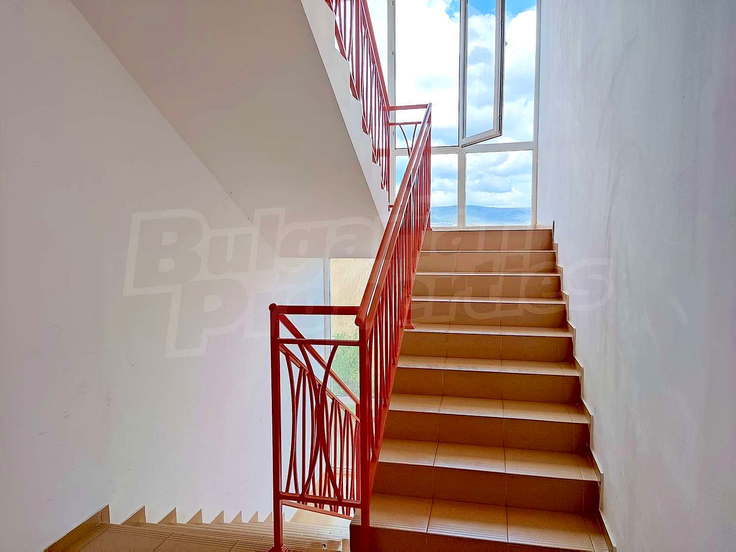 Gallery Picture 26
