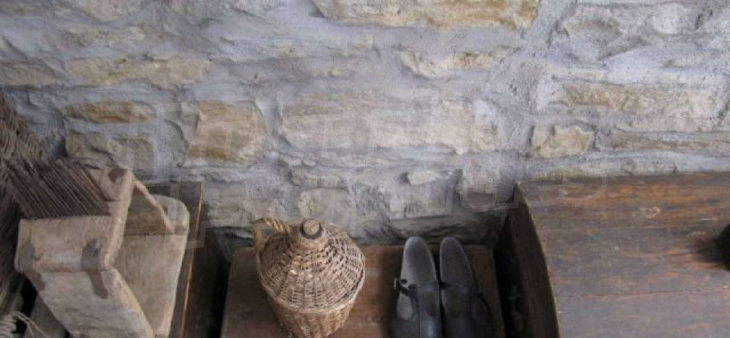 Gallery Picture 21