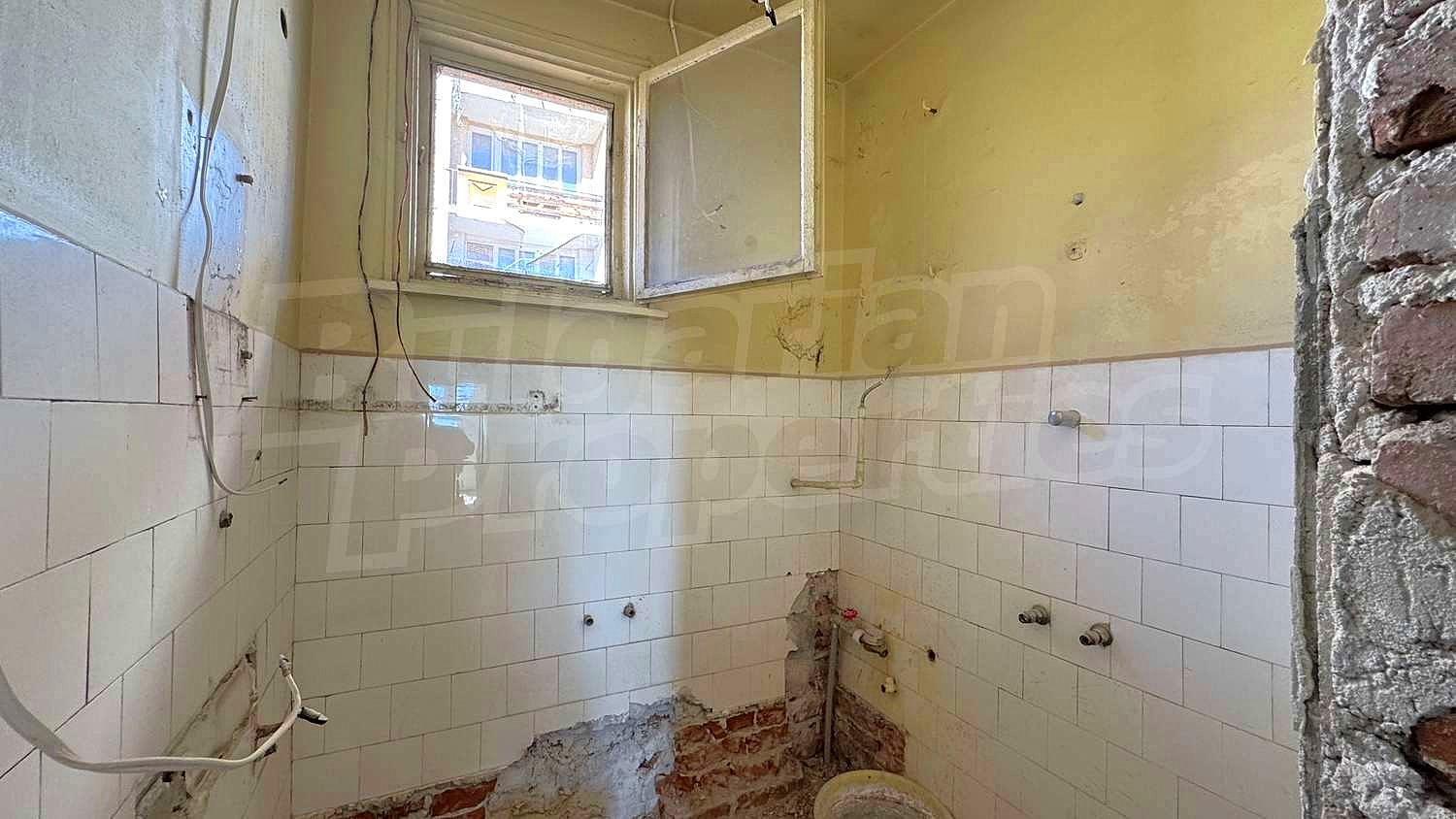 Gallery Picture 19