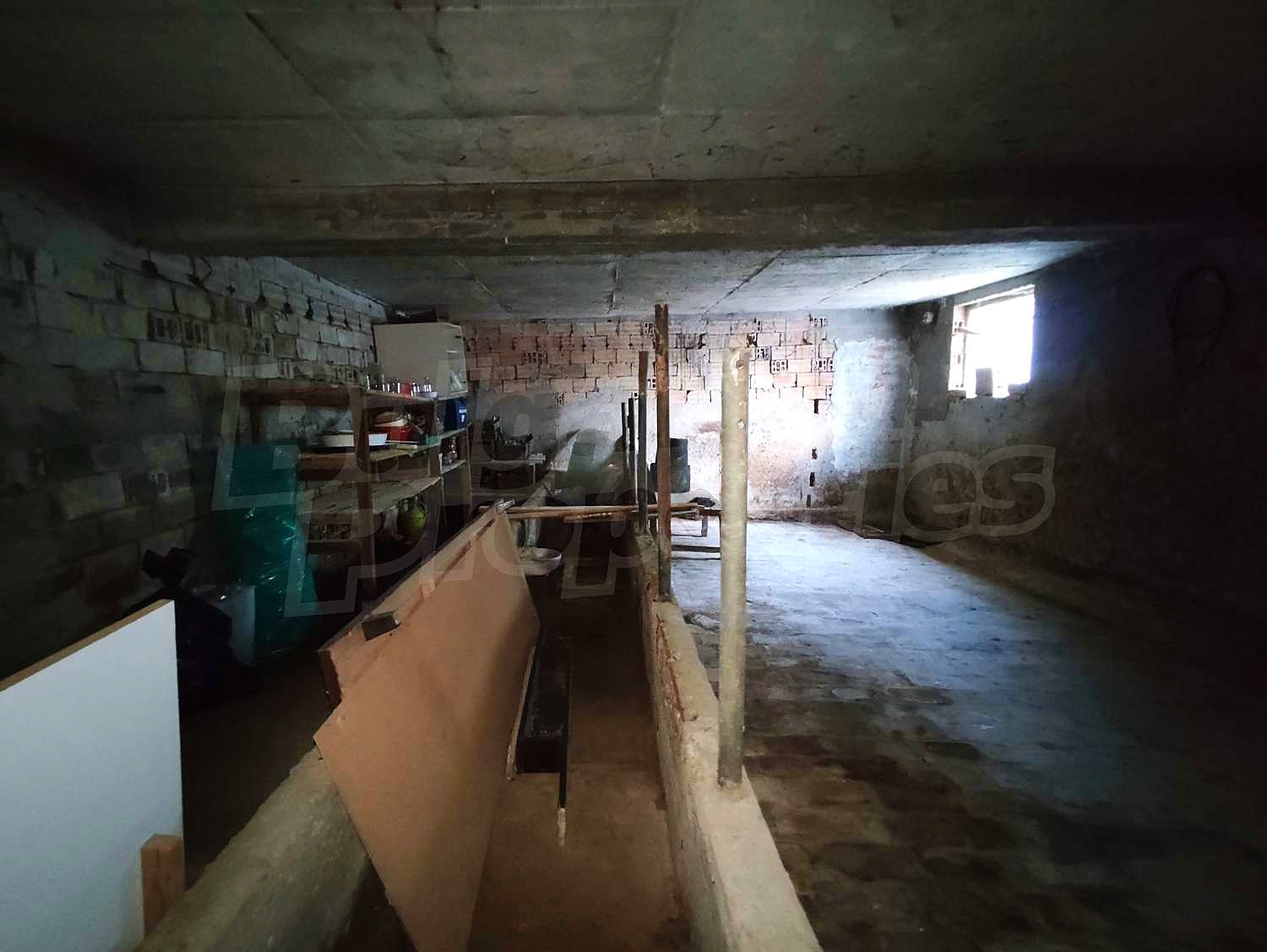 Gallery Picture 14