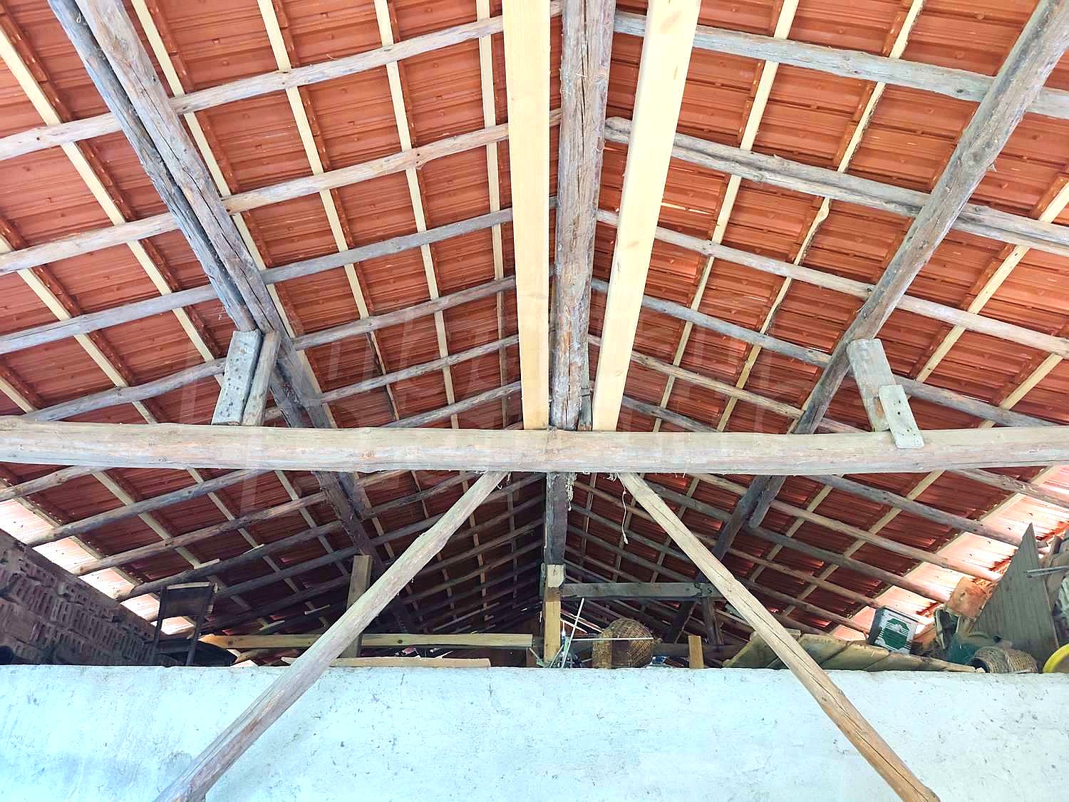 Gallery Picture 6