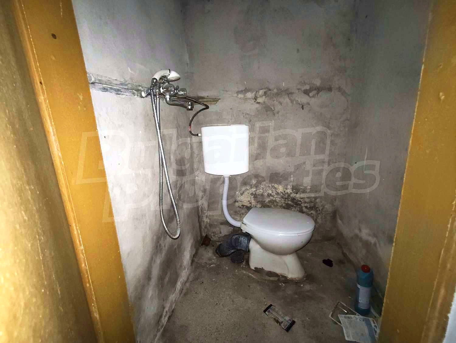 Gallery Picture 13