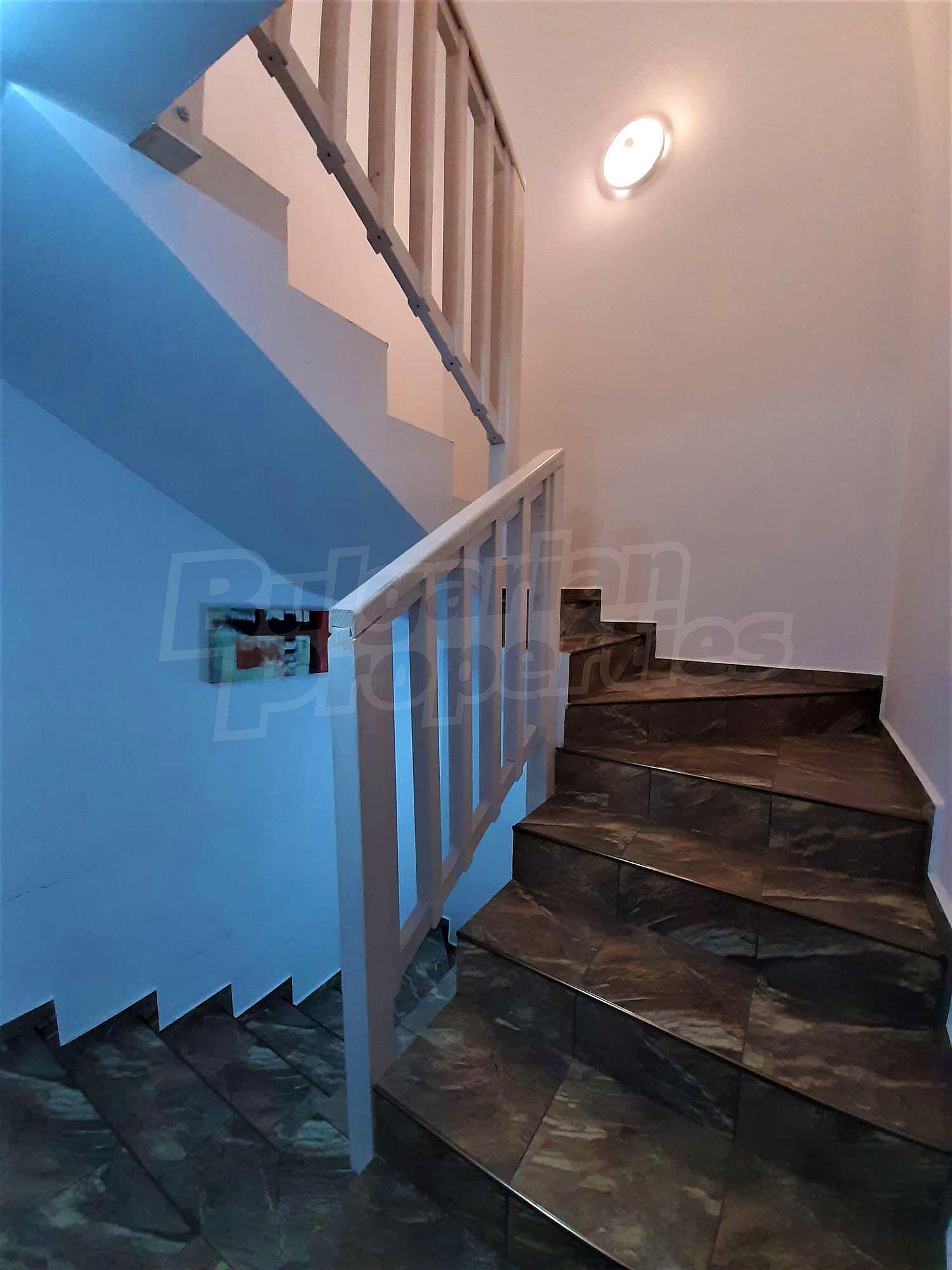 Gallery Picture 26