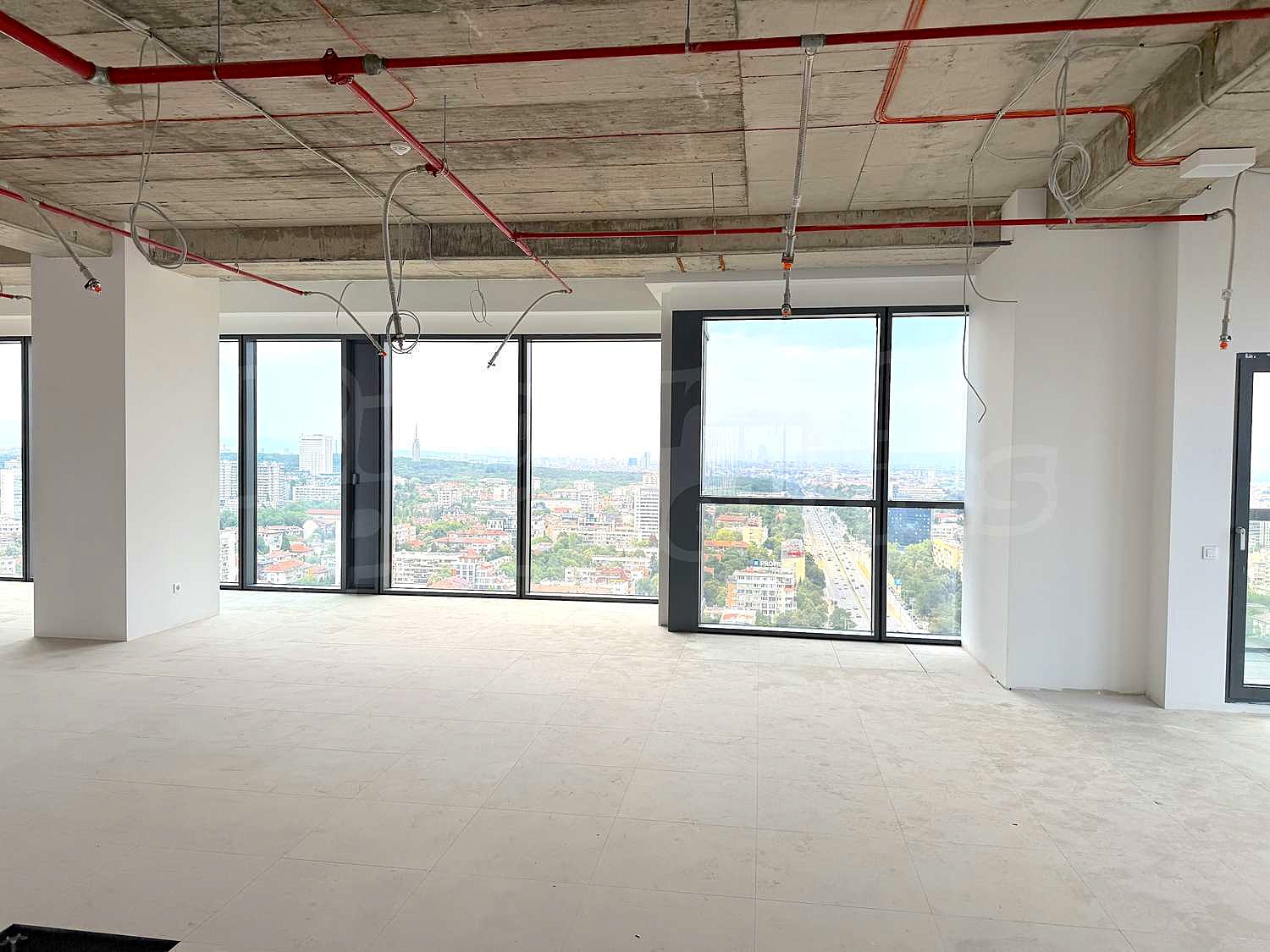 Gallery Picture 10