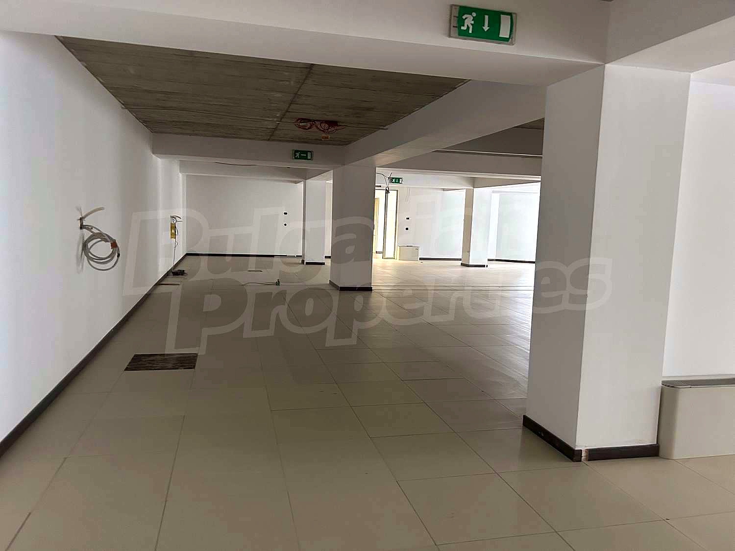 Gallery Picture 11