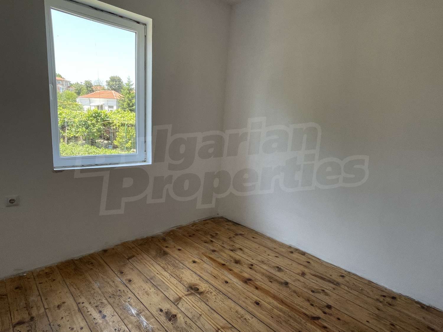 Gallery Picture 17