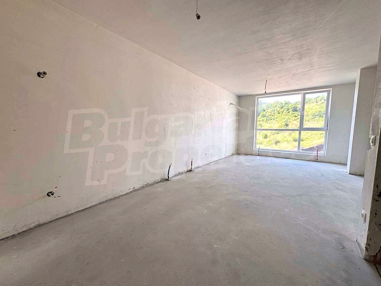 Gallery Picture 5