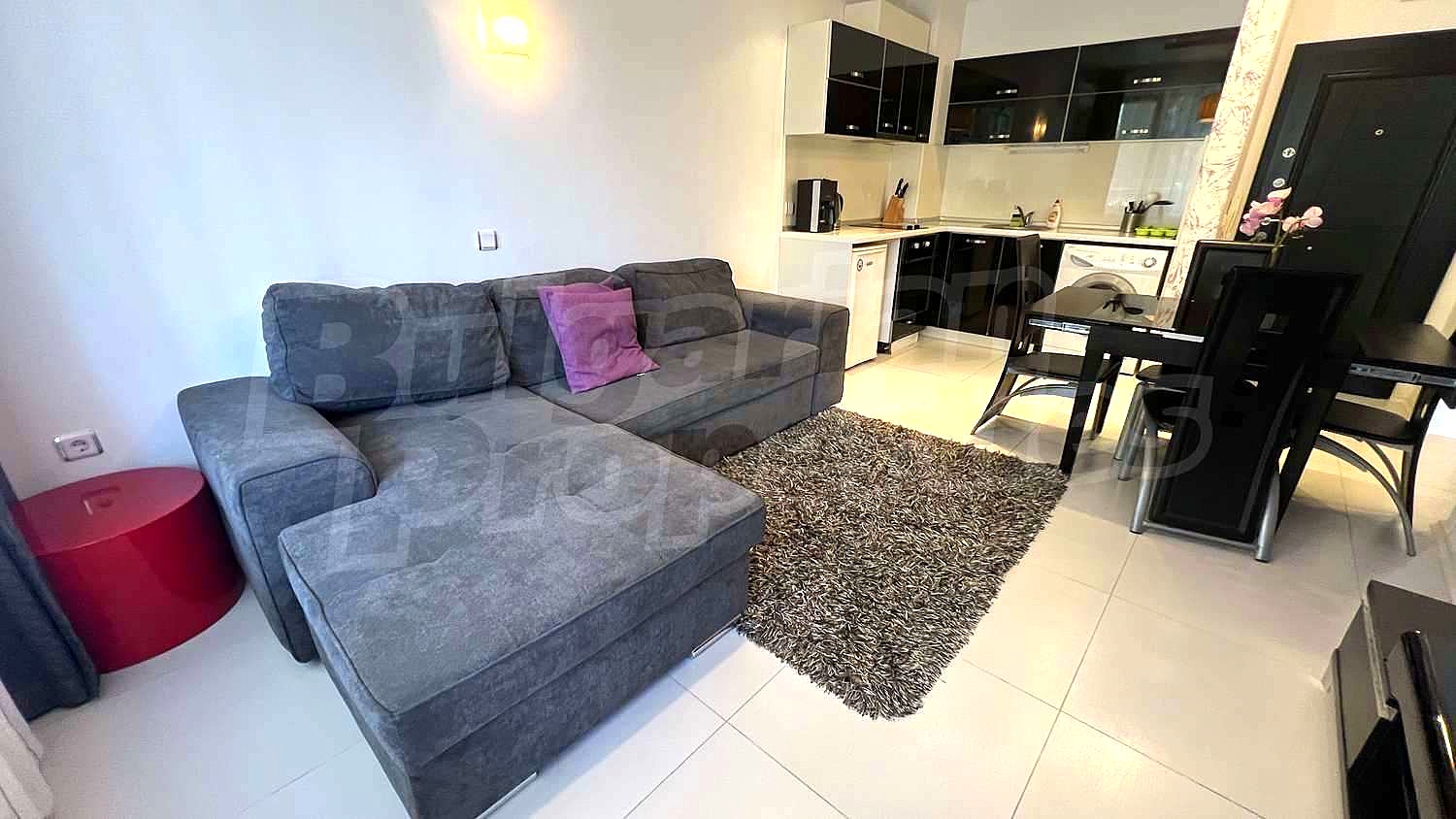 Gallery Picture 26