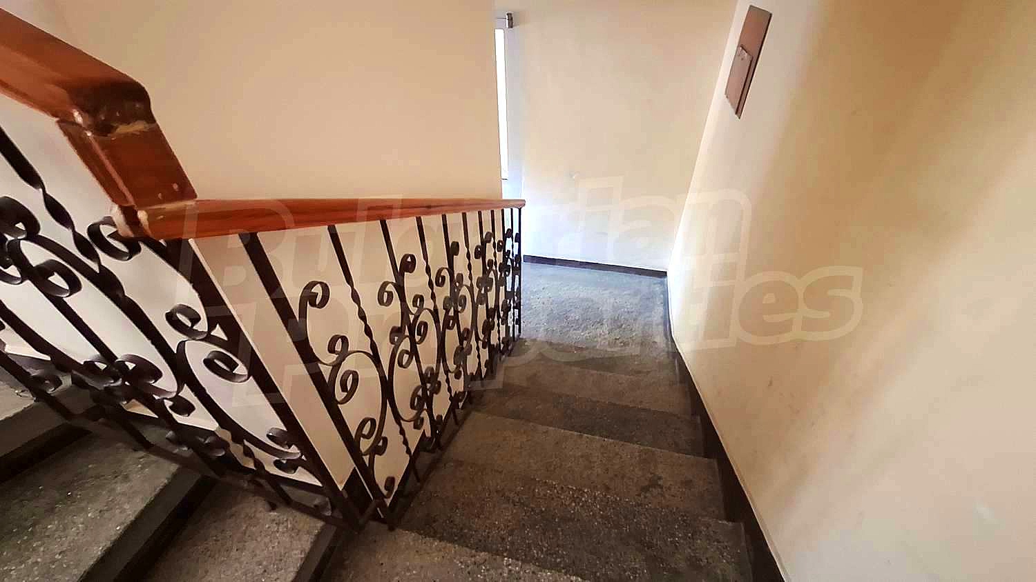Gallery Picture 17
