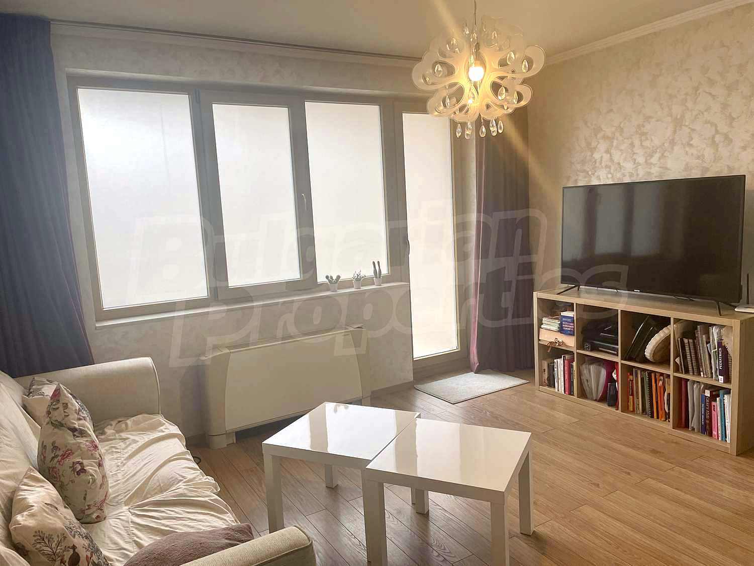 Gallery Picture 12