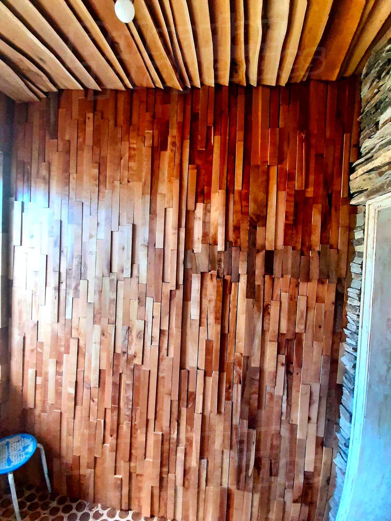 Gallery Picture 12