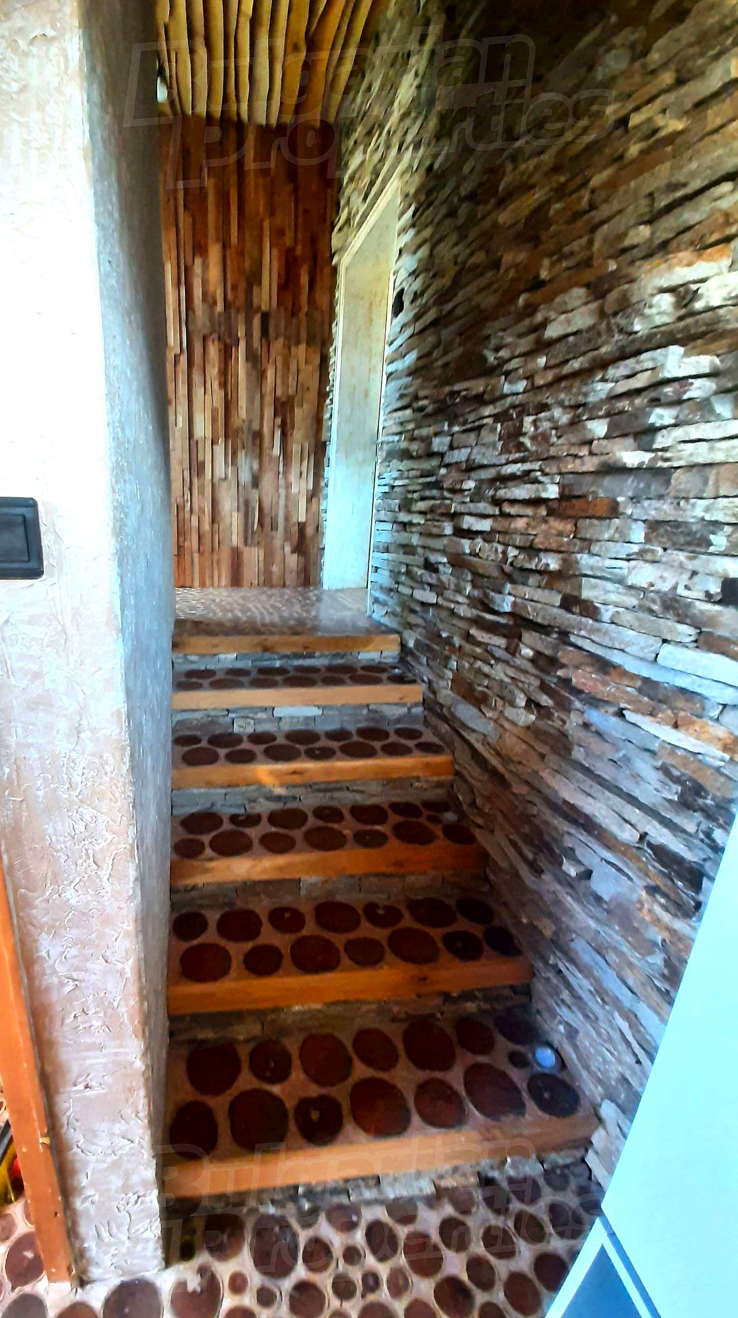 Gallery Picture 10