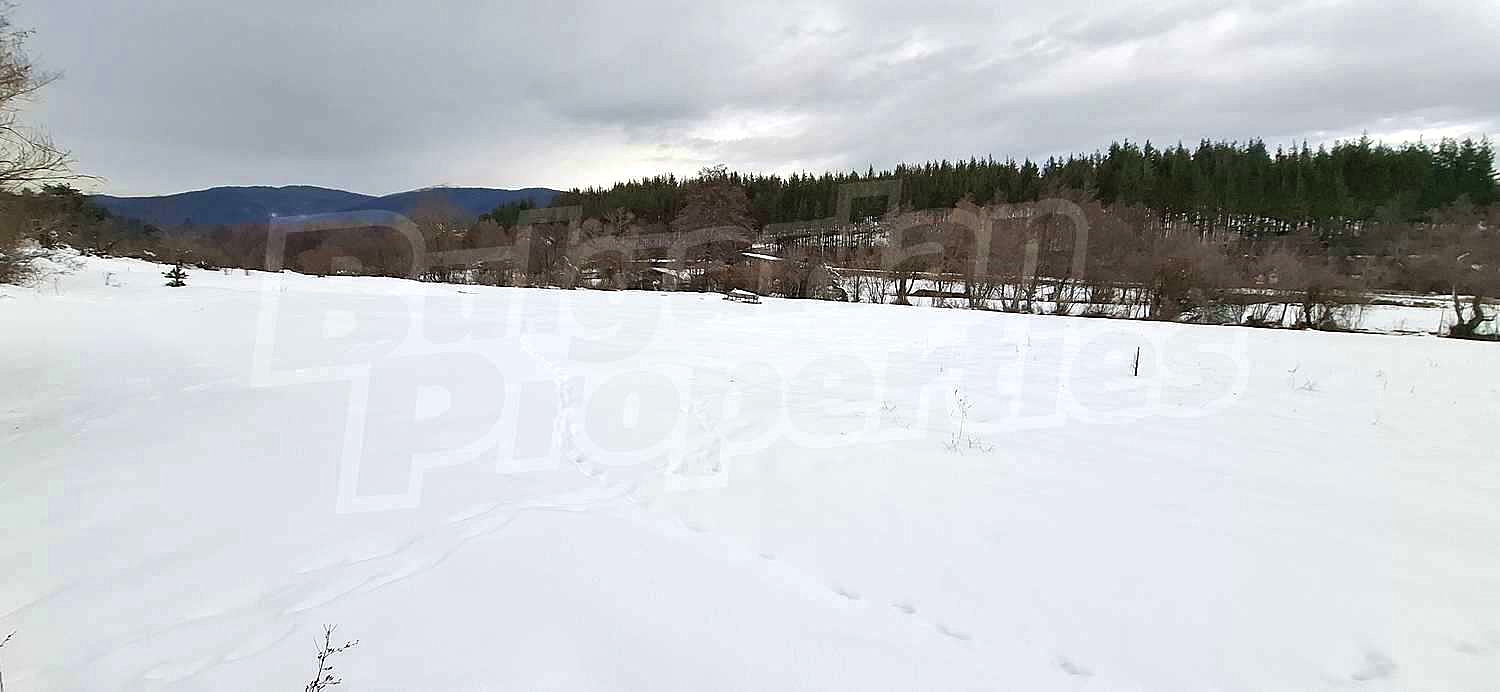 Gallery Picture 16