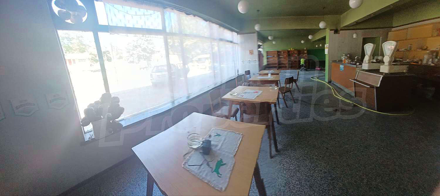 Gallery Picture 3