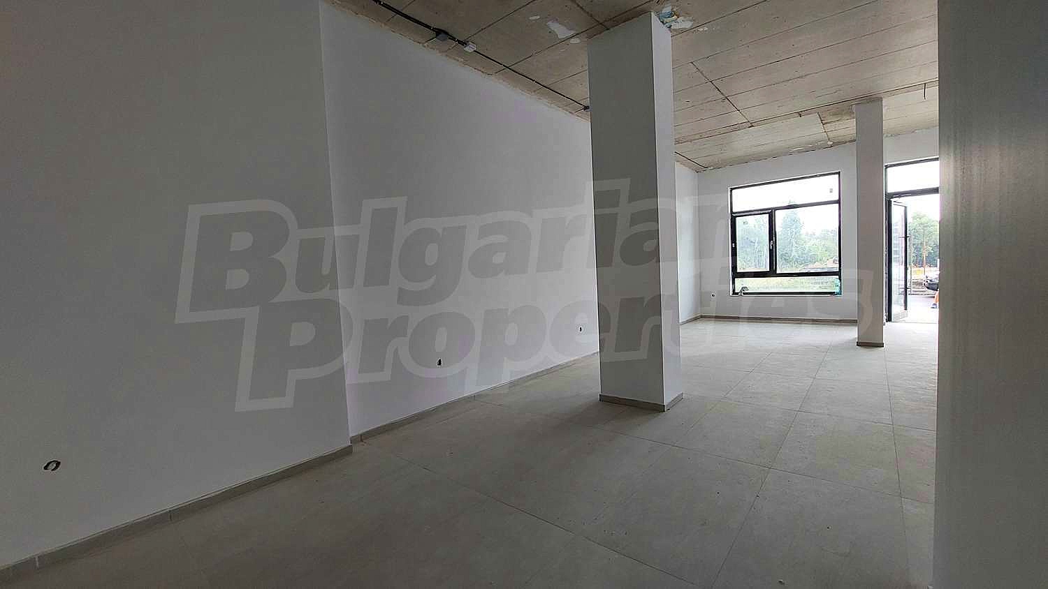 Gallery Picture 5