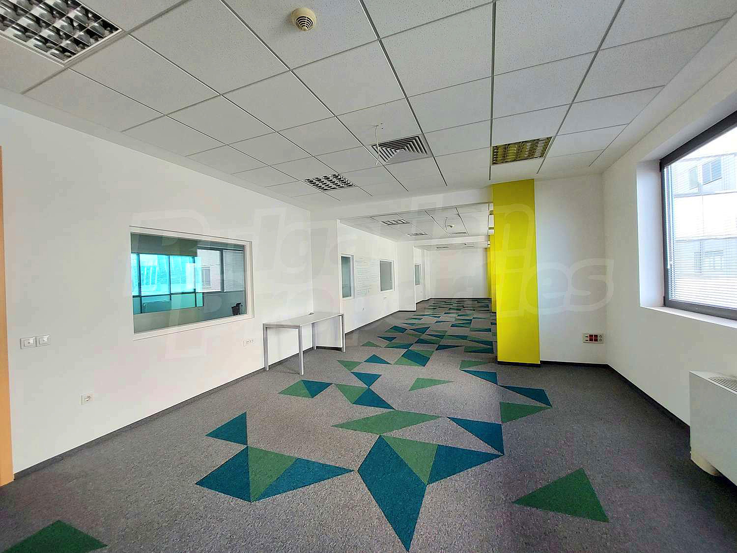 Gallery Picture 4