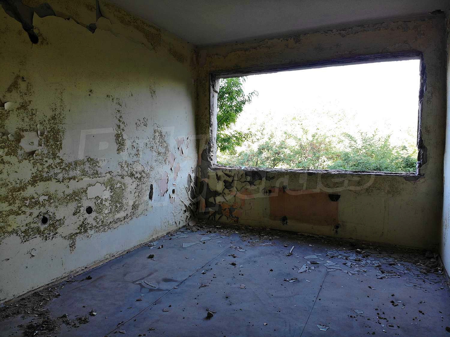 Gallery Picture 13