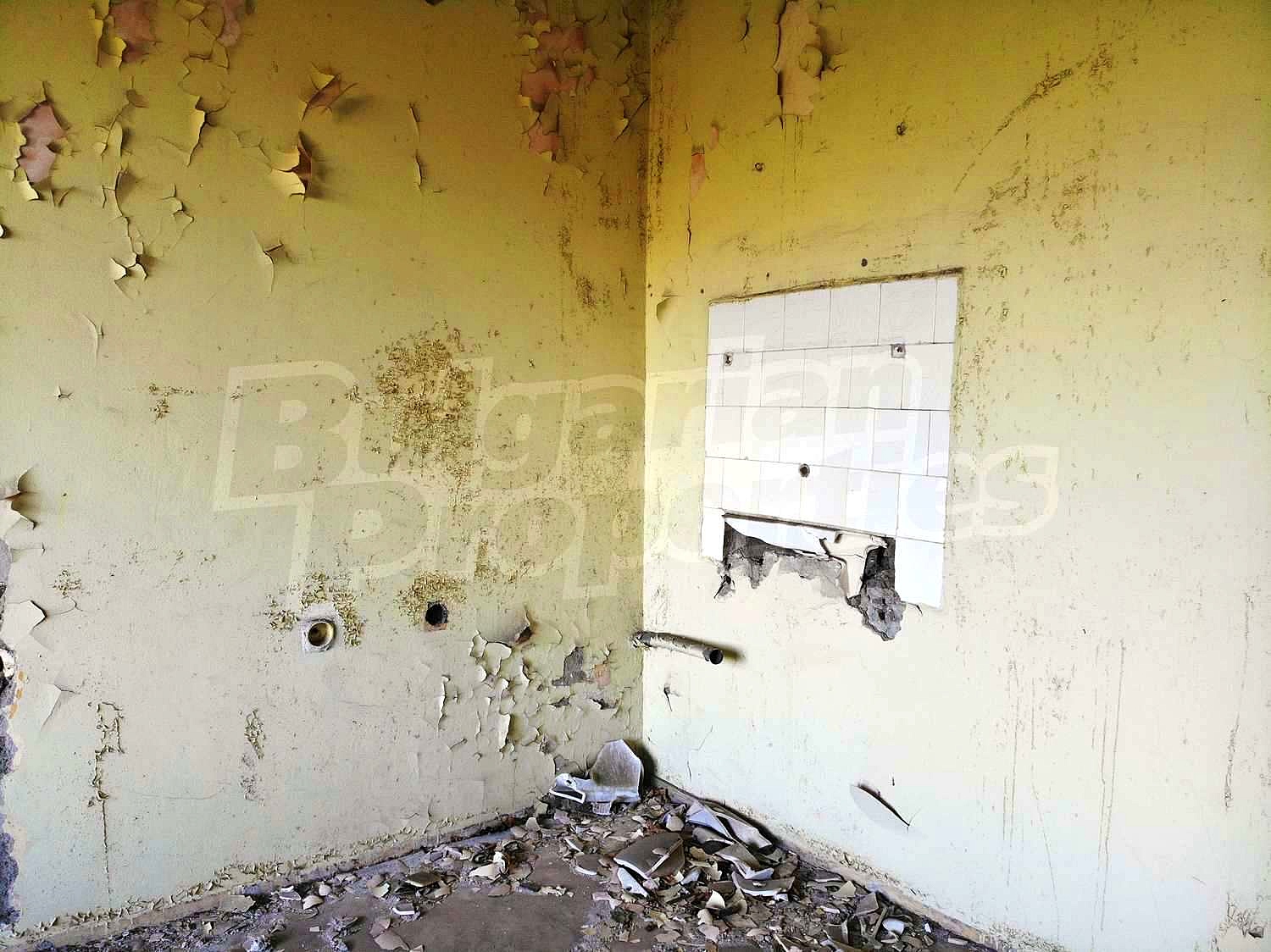 Gallery Picture 15