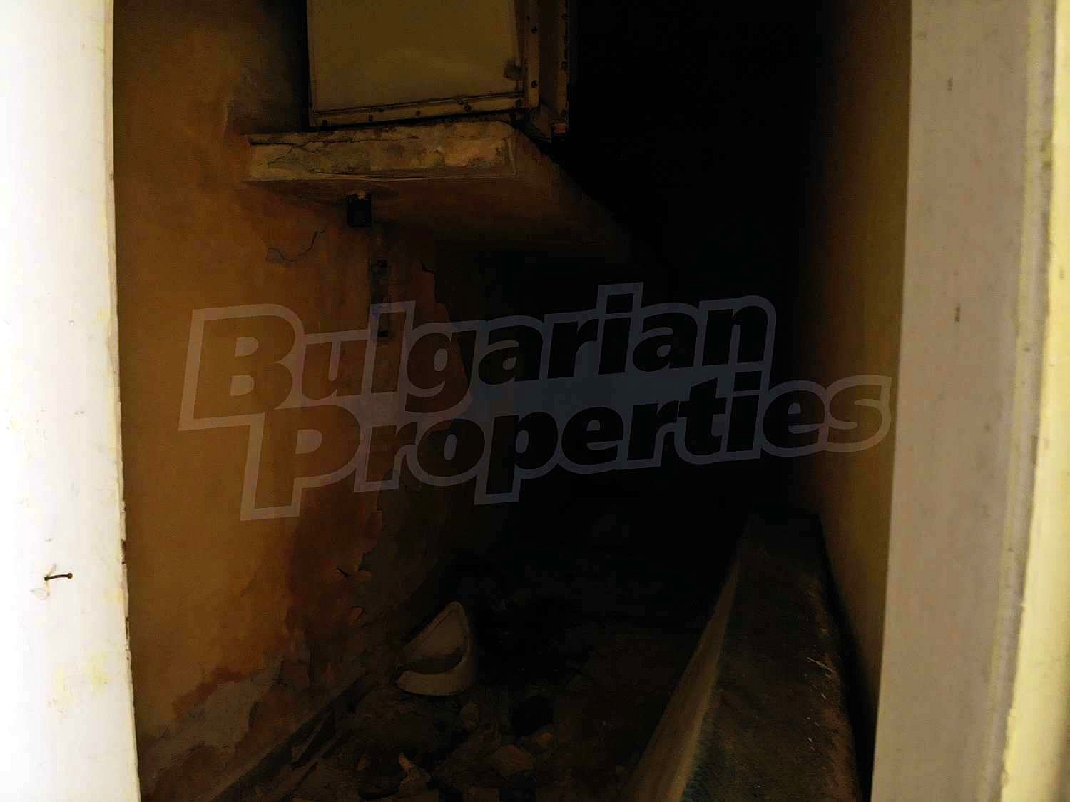 Gallery Picture 25