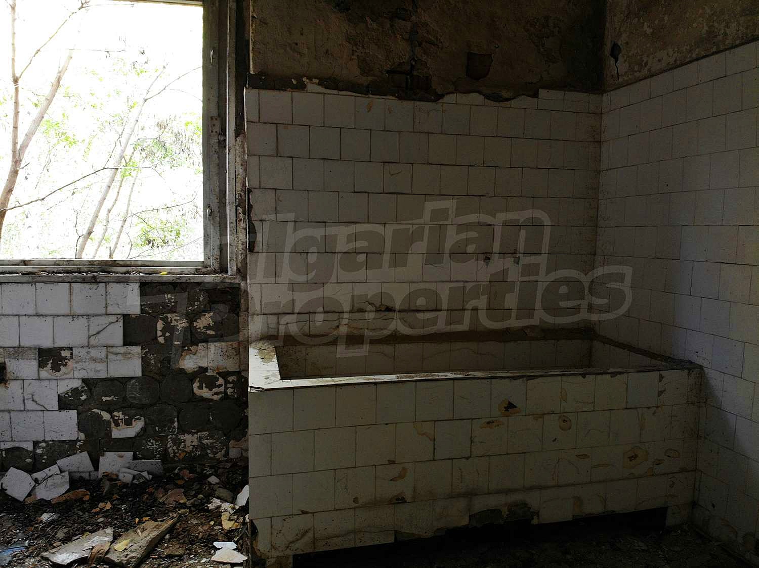 Gallery Picture 27