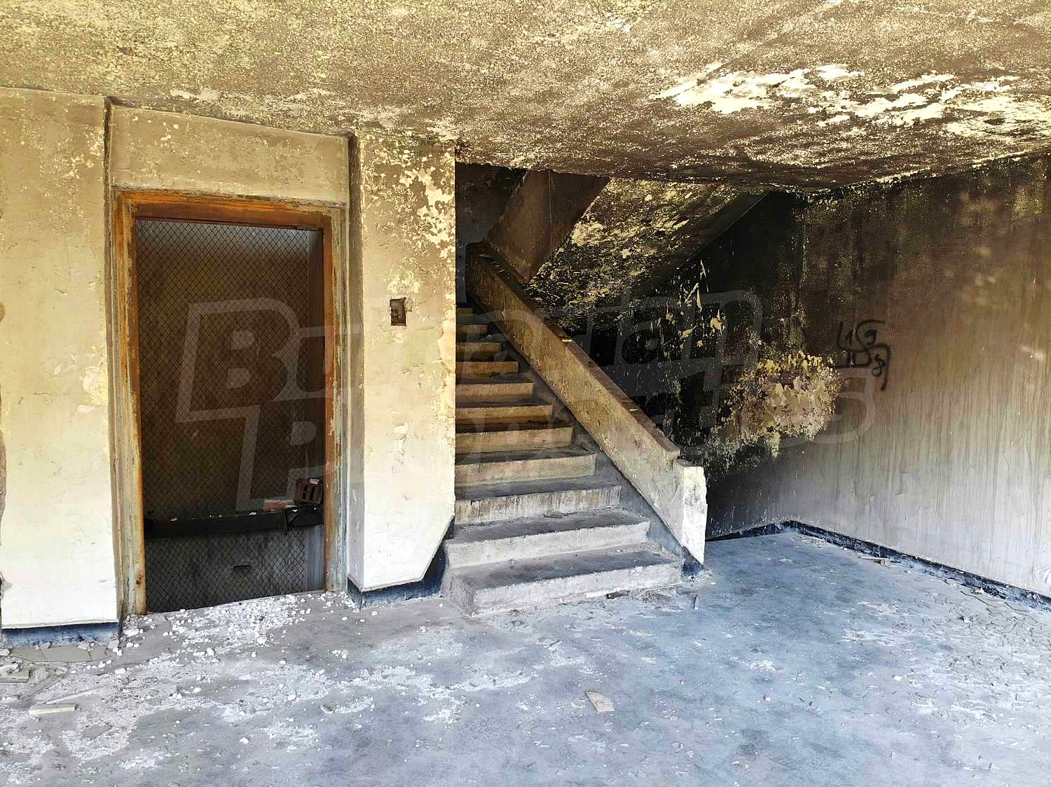 Gallery Picture 51