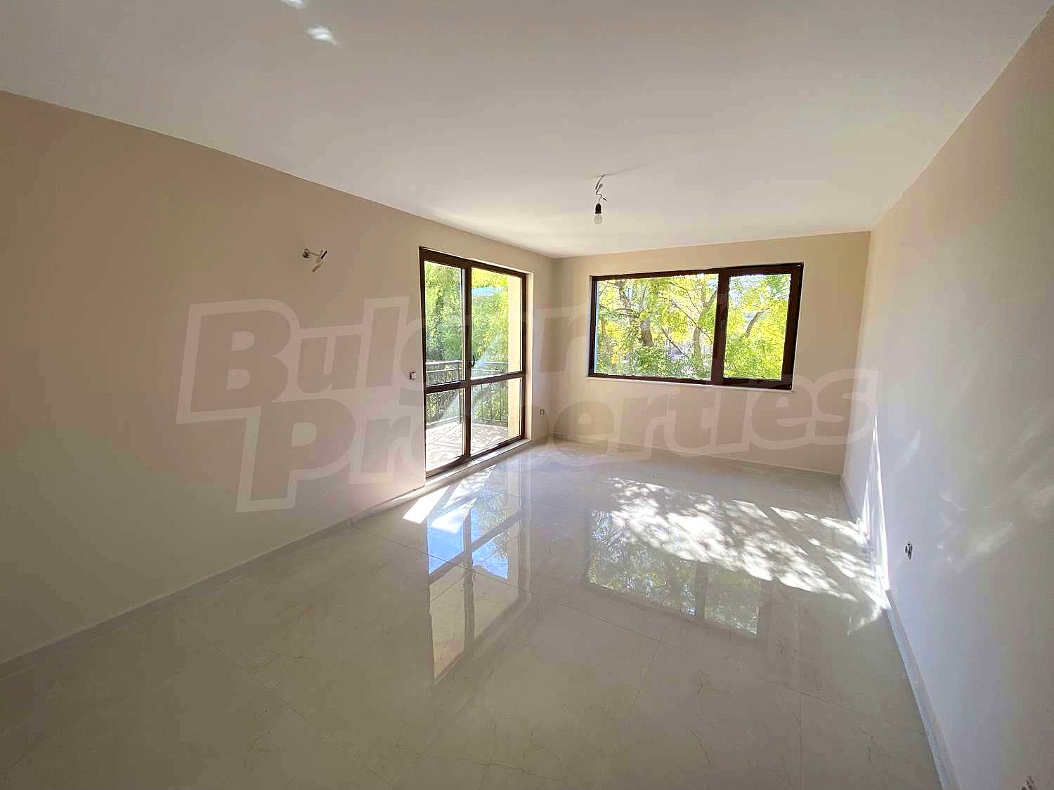 Gallery Picture 36