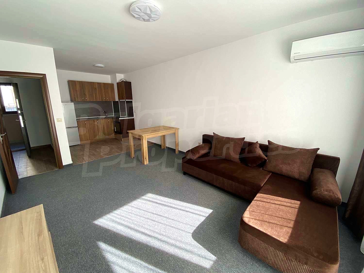 Gallery Picture 38