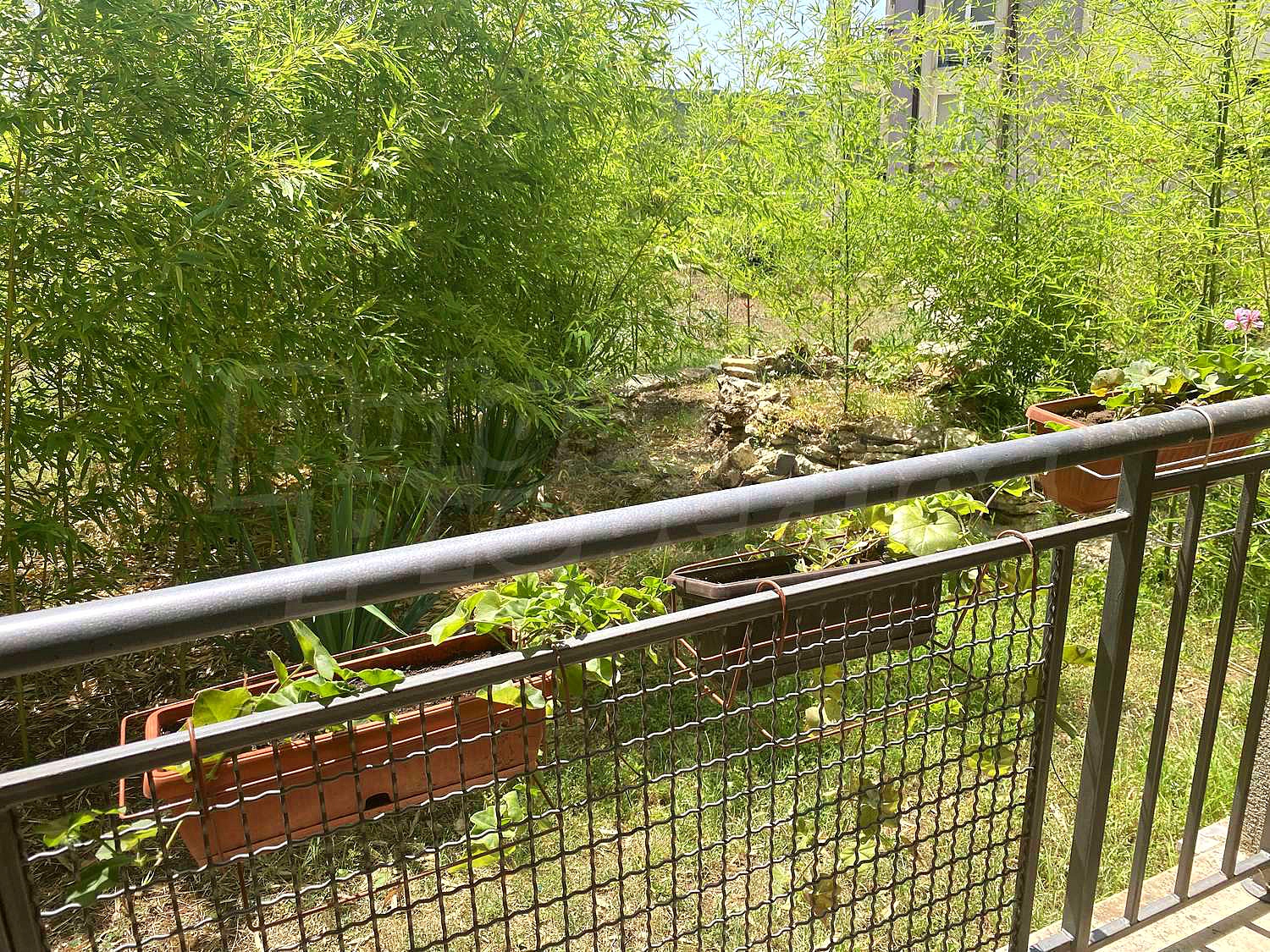 Gallery Picture 19