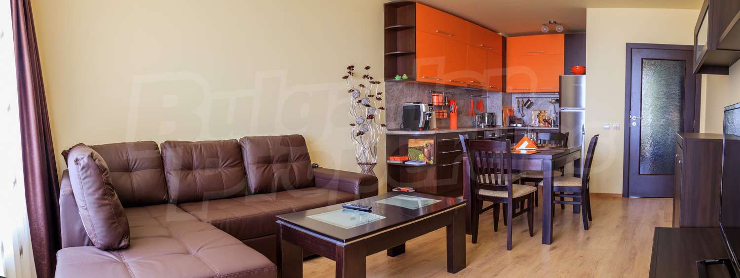 Gallery Picture 10