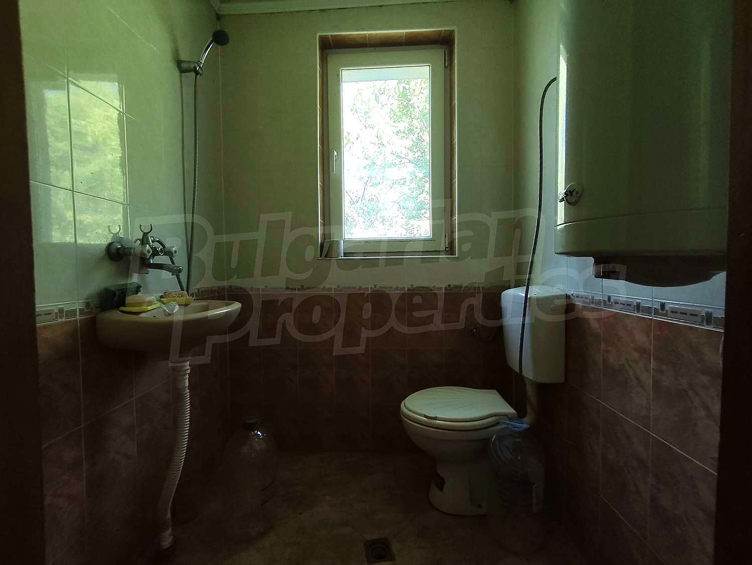 Gallery Picture 23