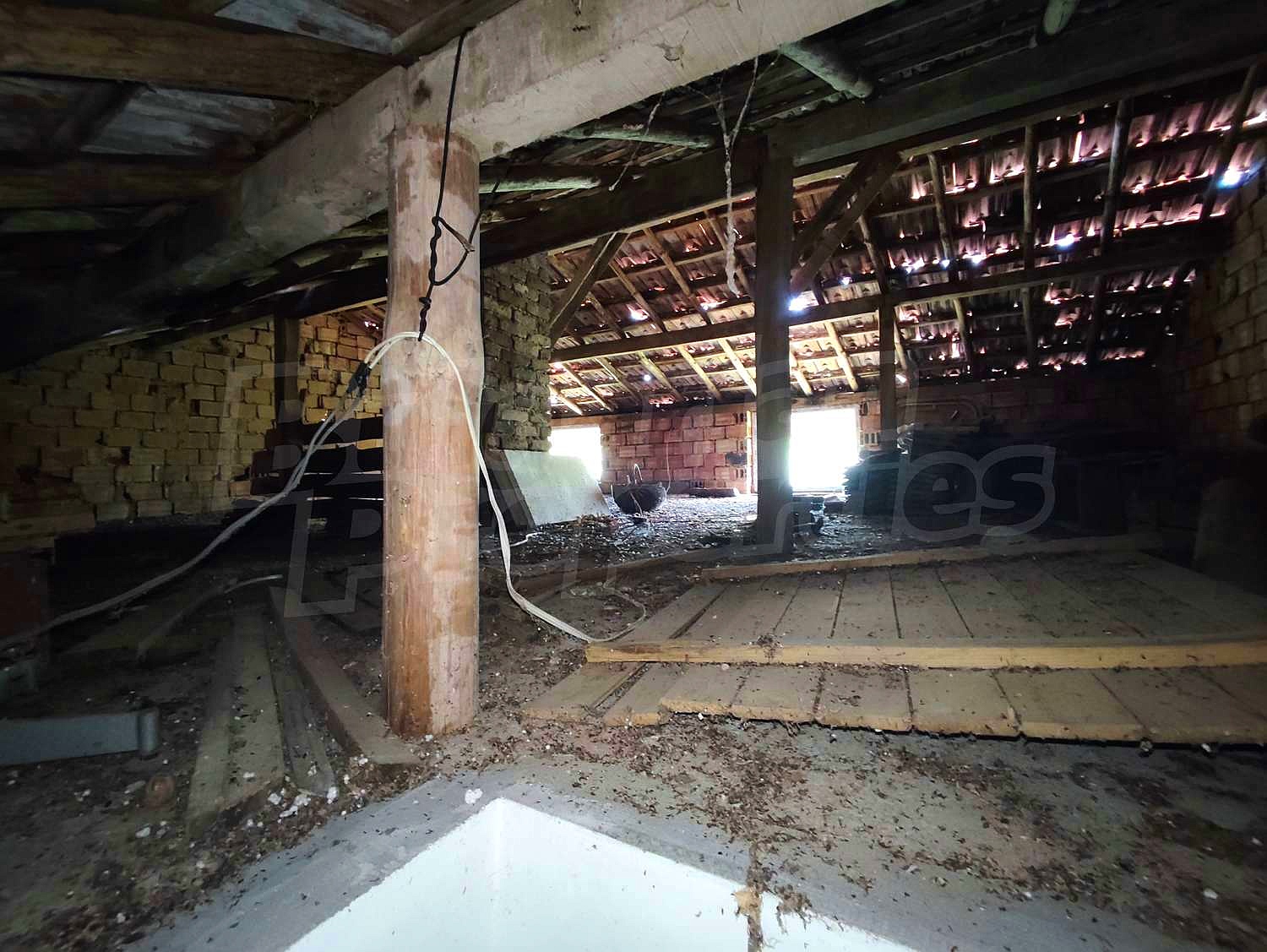 Gallery Picture 38