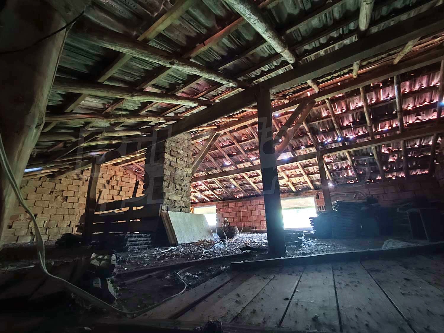 Gallery Picture 37